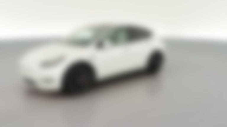 2020 Tesla Model Y vehicle photo