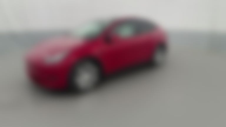 2021 Tesla Model Y vehicle photo