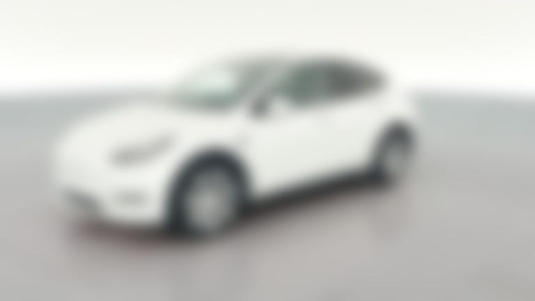 2021 Tesla Model Y vehicle photo