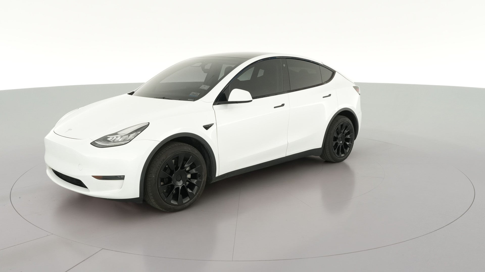 2023 Tesla Model Y vehicle photo