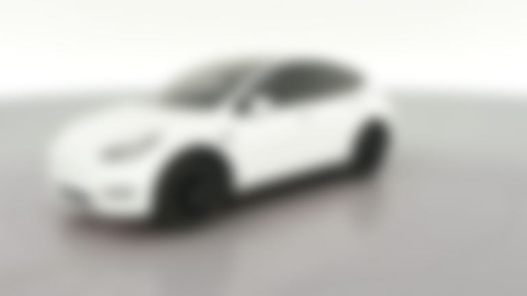 2023 Tesla Model Y vehicle photo