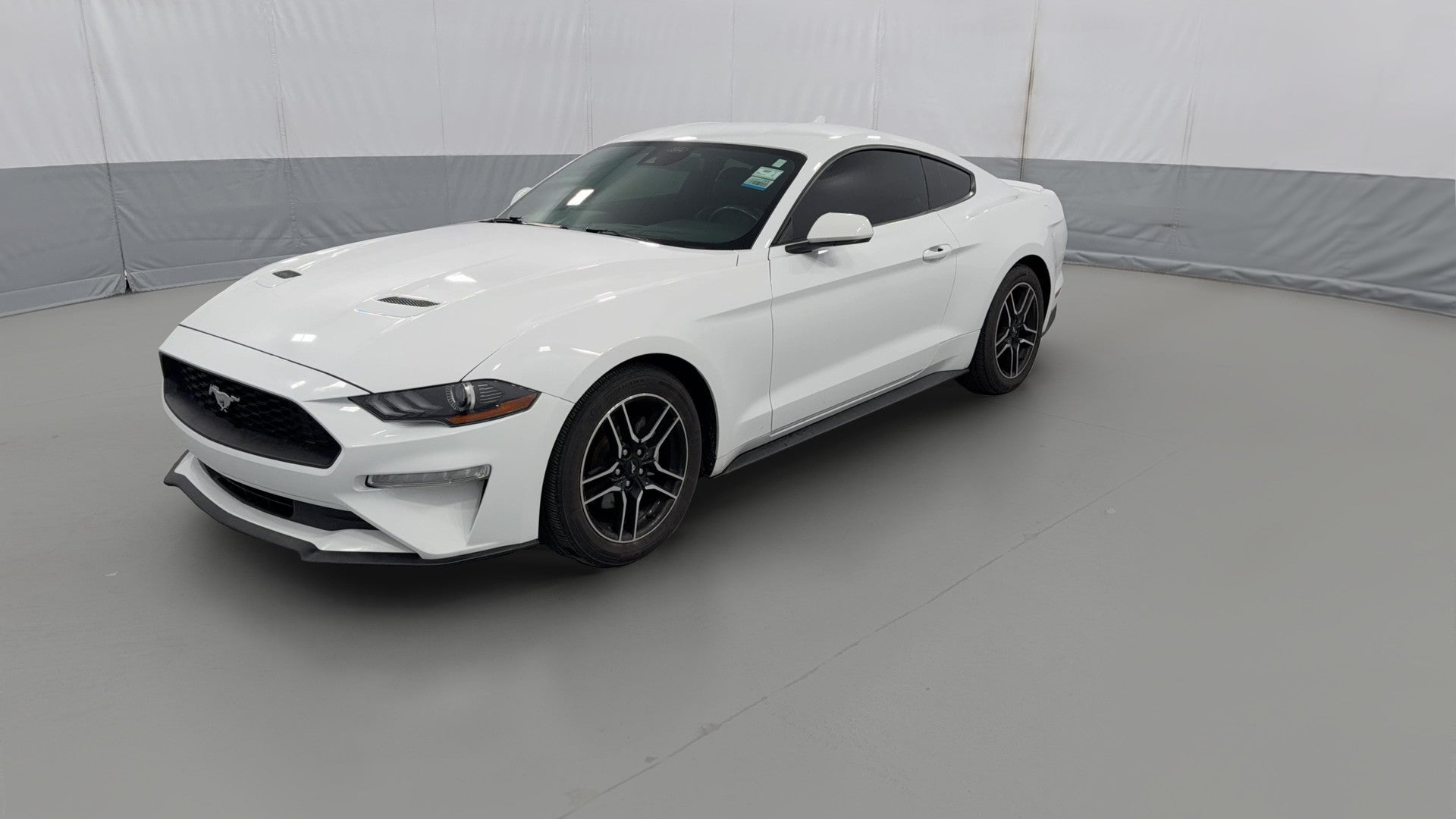 2022 Ford Mustang vehicle photo