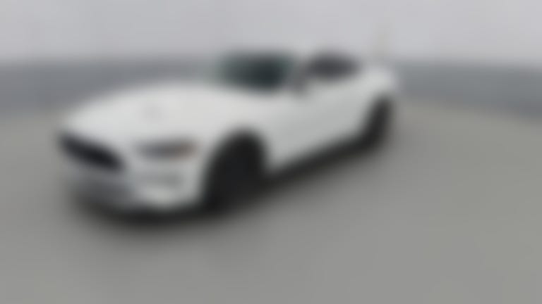 2022 Ford Mustang vehicle photo