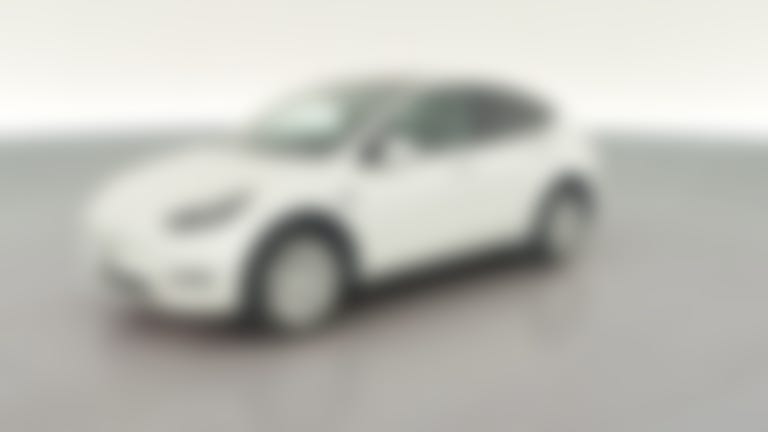2023 Tesla Model Y vehicle photo