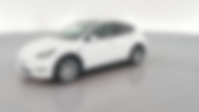 2023 Tesla Model Y vehicle photo