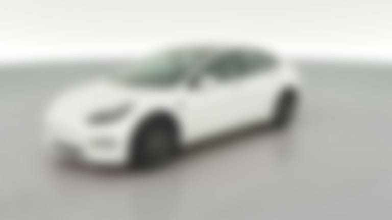 2021 Tesla Model 3 vehicle photo
