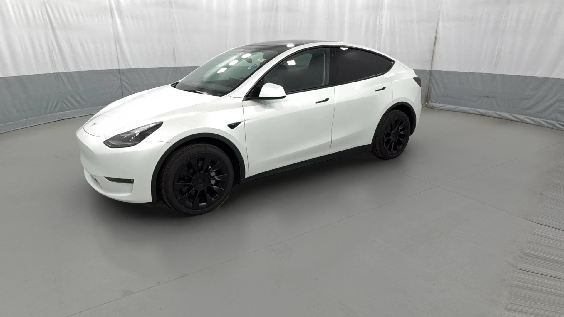 2023 Tesla Model Y vehicle photo