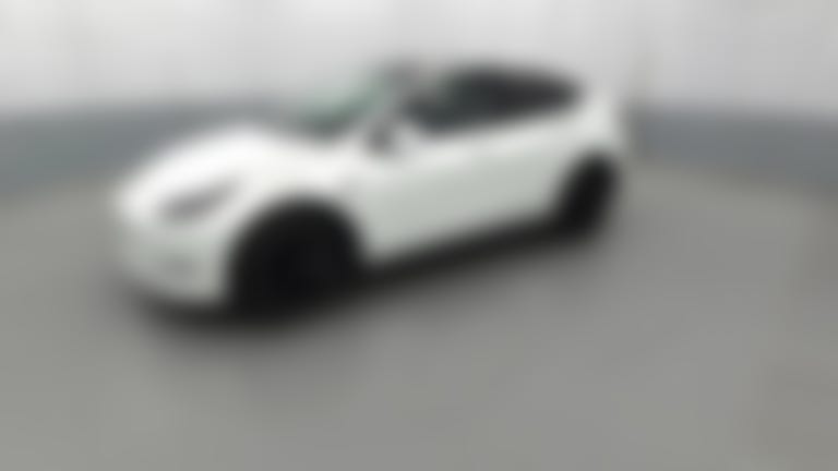 2023 Tesla Model Y vehicle photo