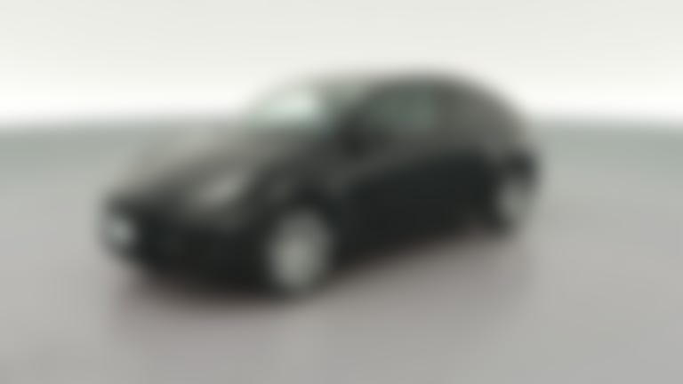 2023 Tesla Model Y vehicle photo
