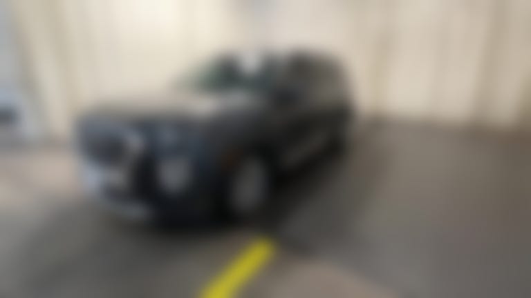 2020 Hyundai Palisade vehicle photo