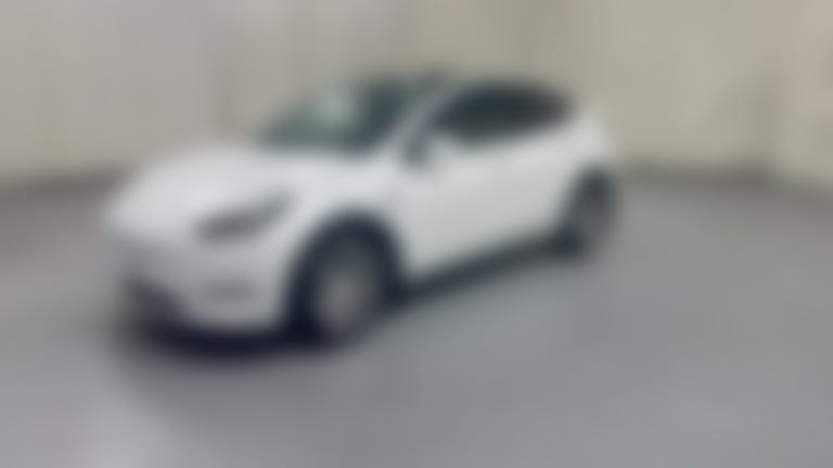 2023 Tesla Model Y vehicle photo