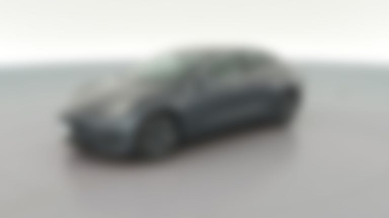 2019 Tesla Model 3 vehicle photo