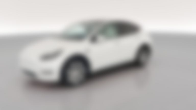 2023 Tesla Model Y vehicle photo