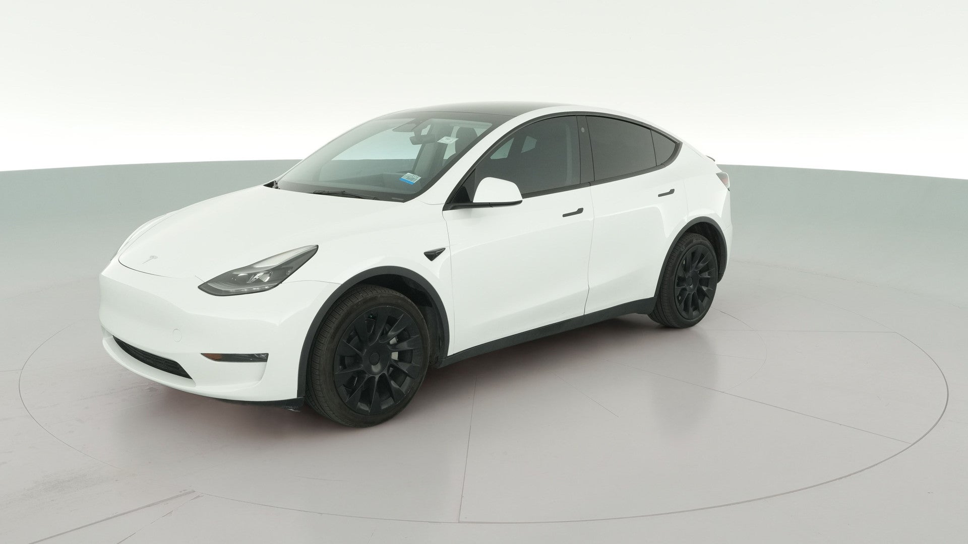2023 Tesla Model Y vehicle photo