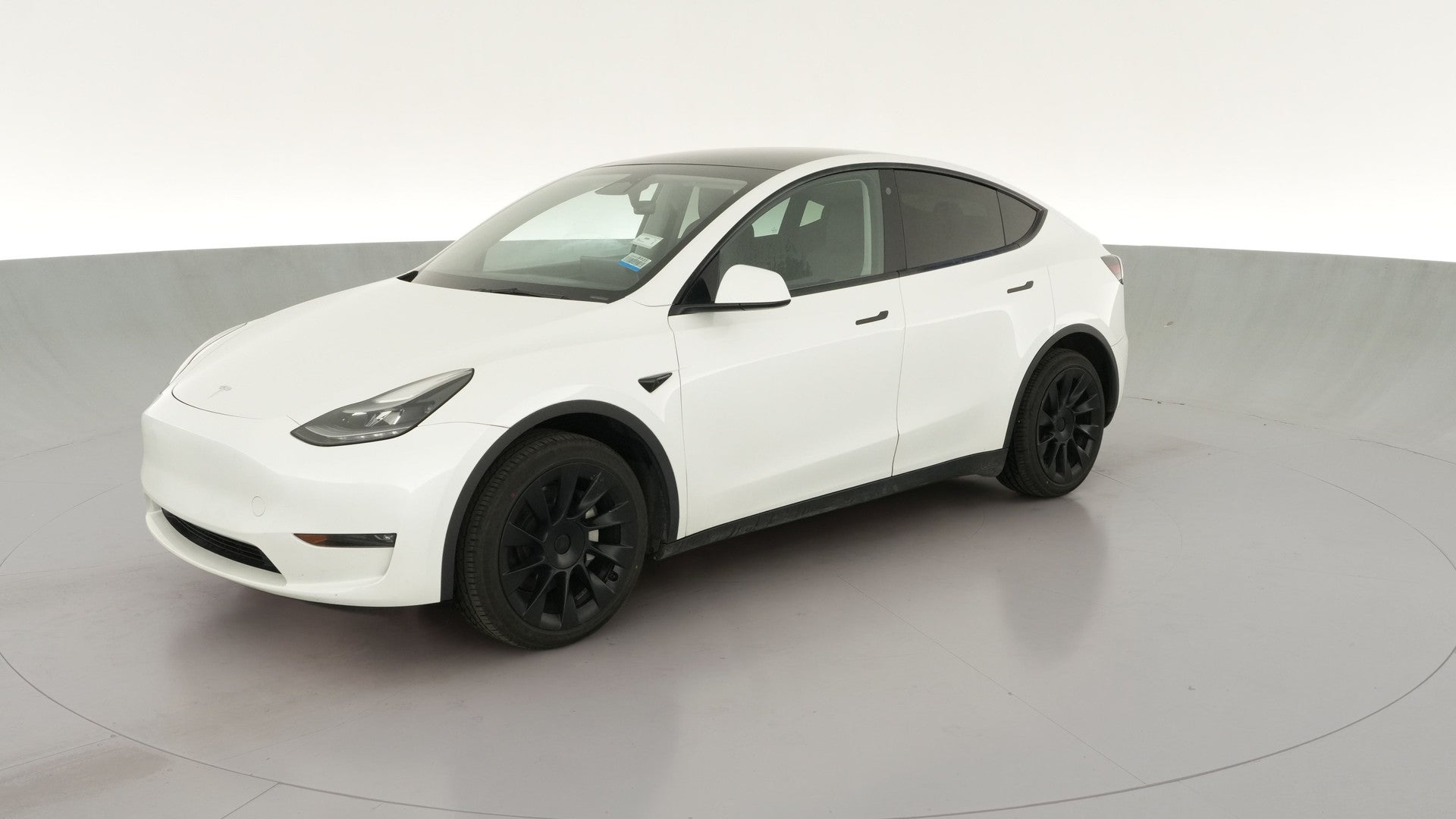 2023 Tesla Model Y vehicle photo