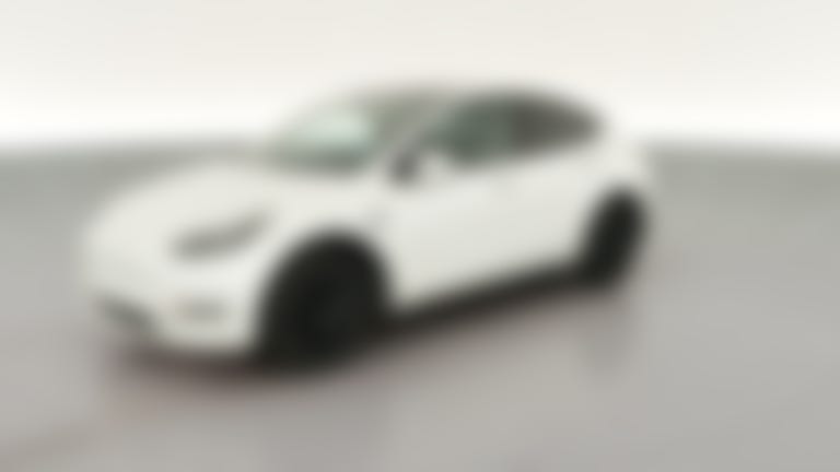 2023 Tesla Model Y vehicle photo