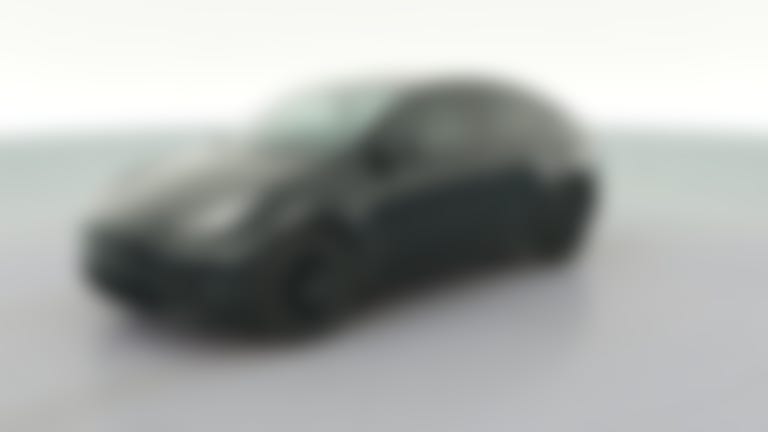 2021 Tesla Model Y vehicle photo