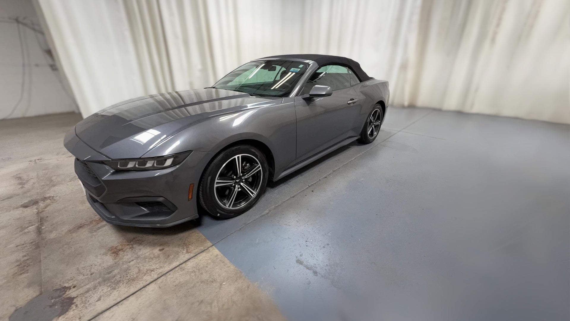 2024 Ford Mustang vehicle photo