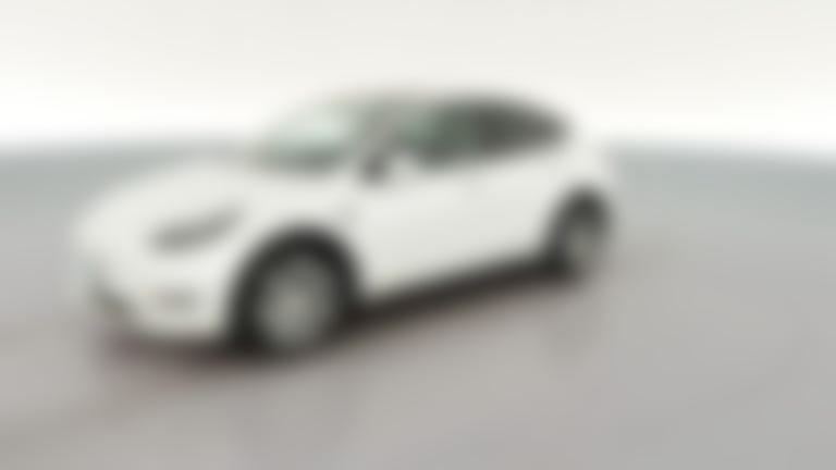 2023 Tesla Model Y vehicle photo