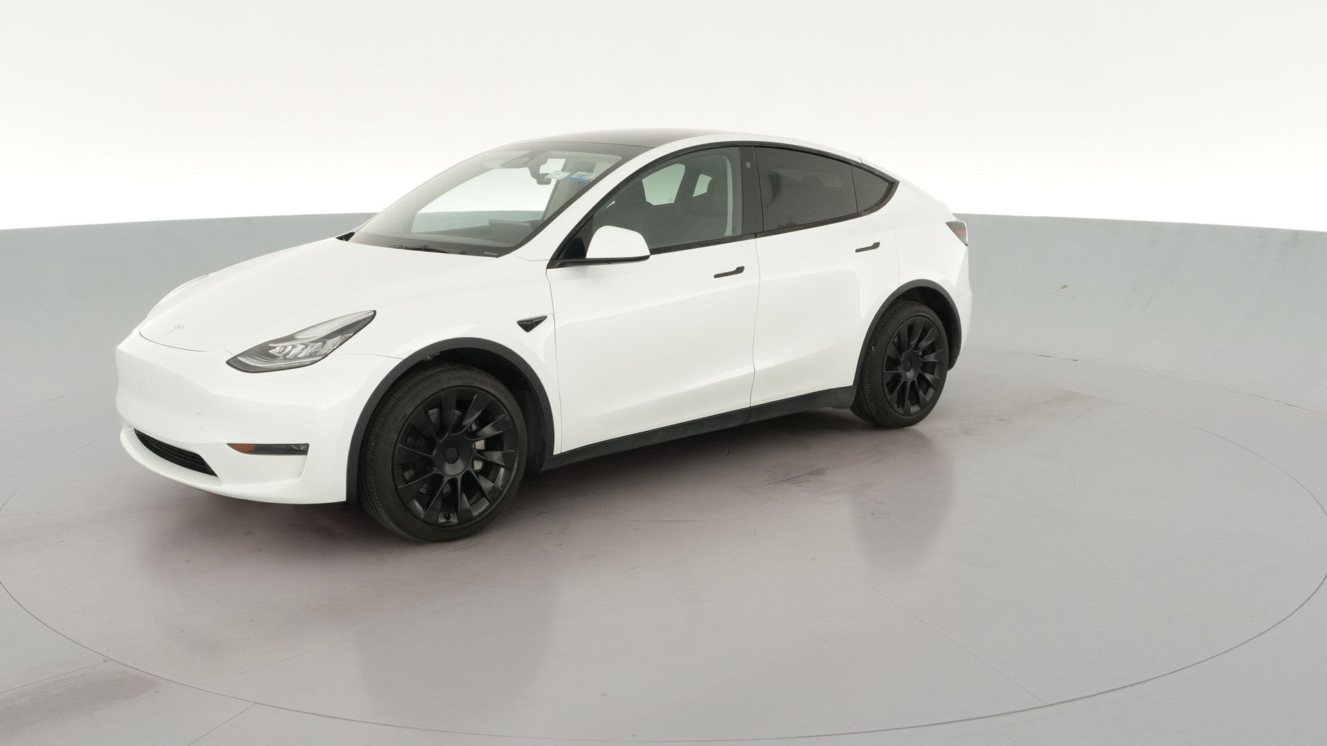 2023 Tesla Model Y vehicle photo