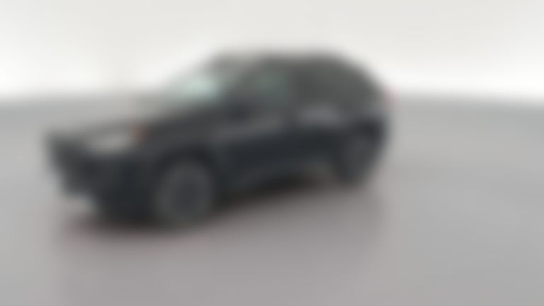 2019 Toyota RAV4 vehicle photo