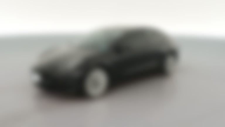 2021 Tesla Model 3 vehicle photo