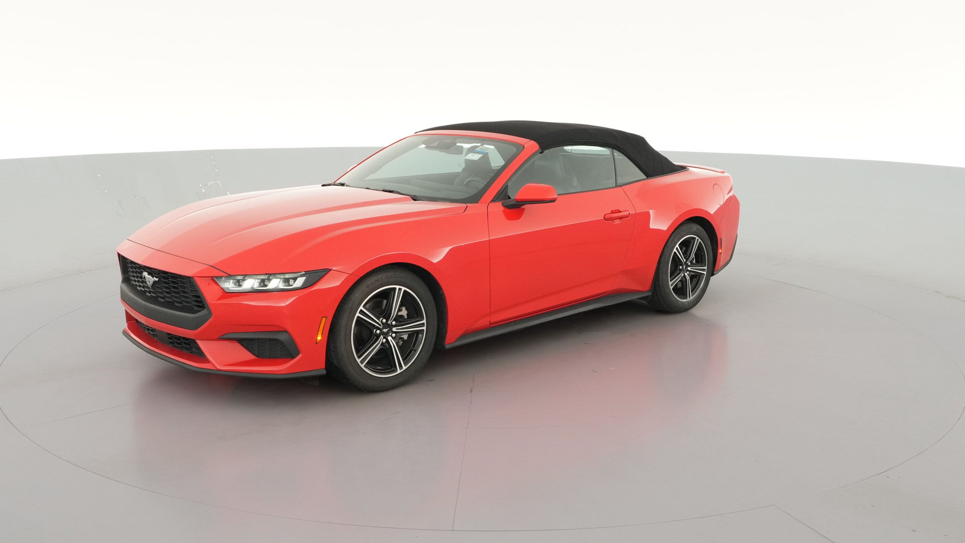 2024 Ford Mustang vehicle photo