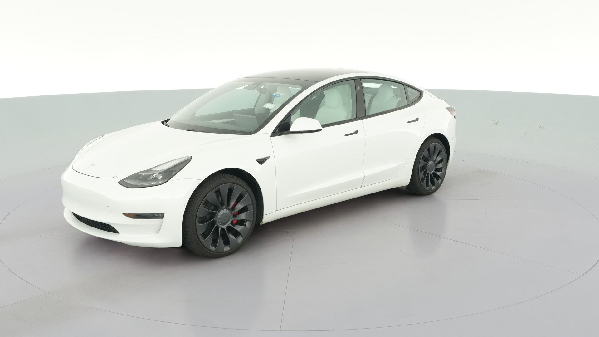 2021 Tesla Model 3 vehicle photo