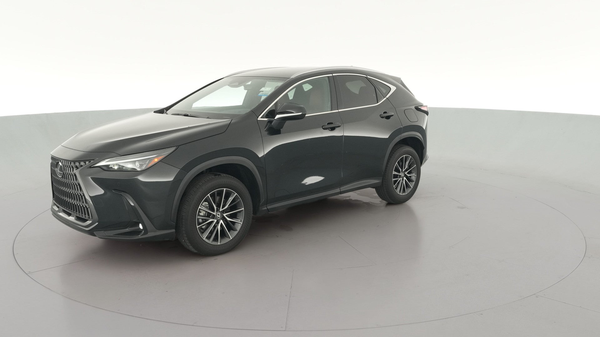 2025 Lexus NX vehicle photo