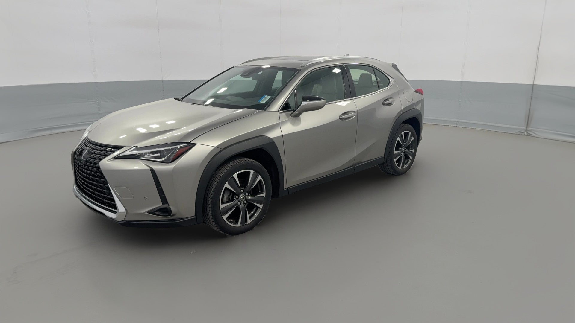 2020 Lexus UX vehicle photo