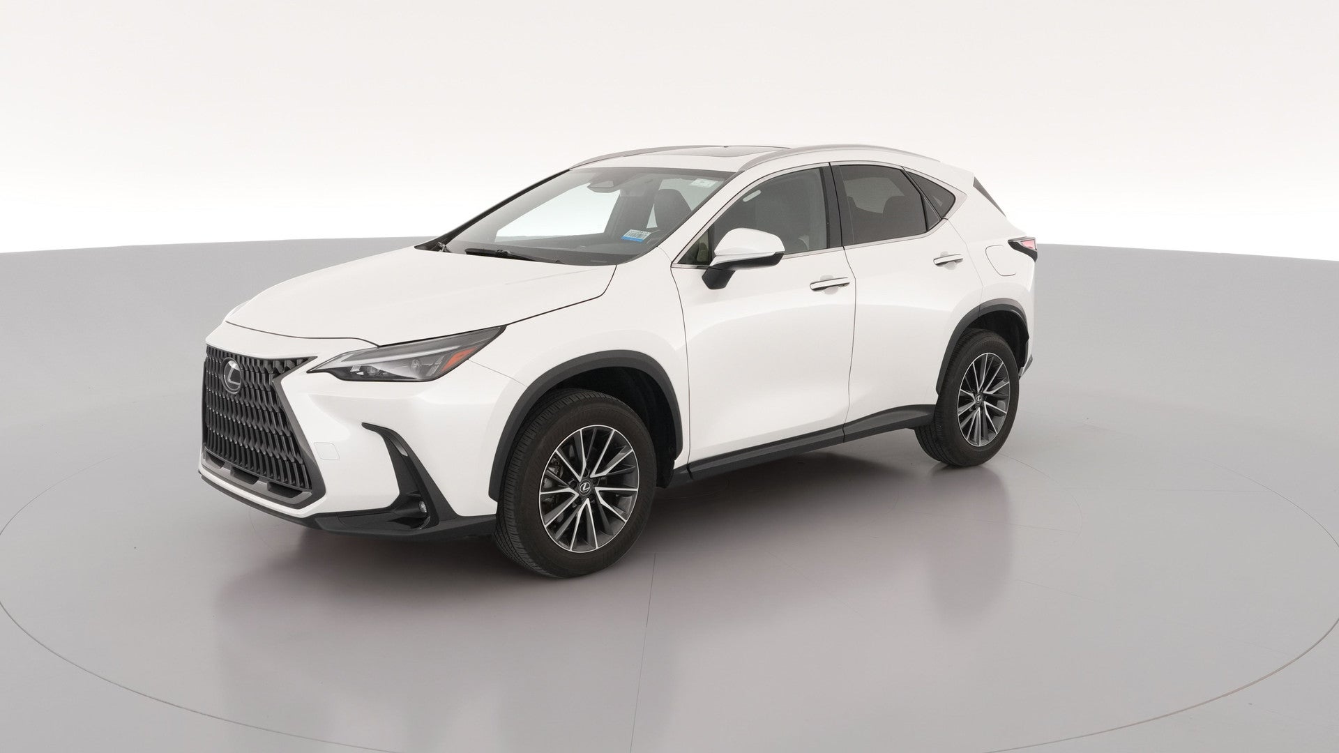 2024 Lexus NX vehicle photo