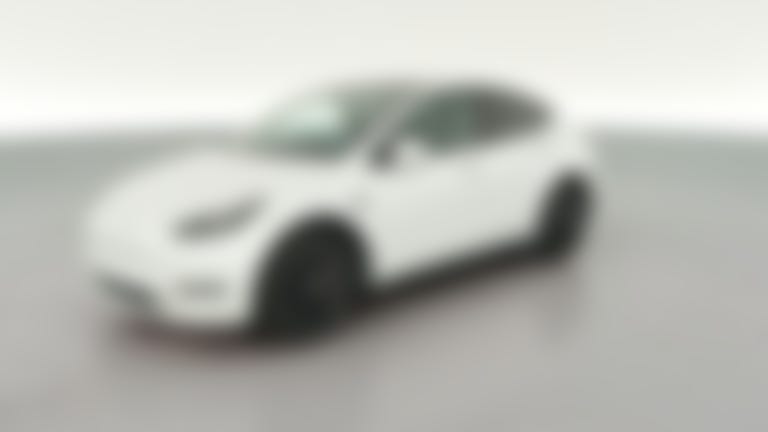 2023 Tesla Model Y vehicle photo
