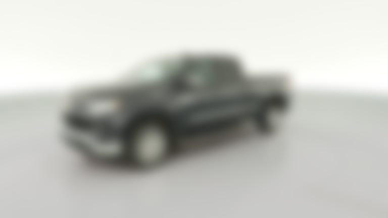 2023 Chevrolet Silverado 1500 Double Cab vehicle photo