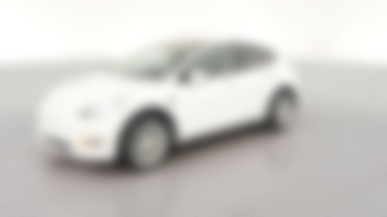 2021 Tesla Model Y vehicle photo