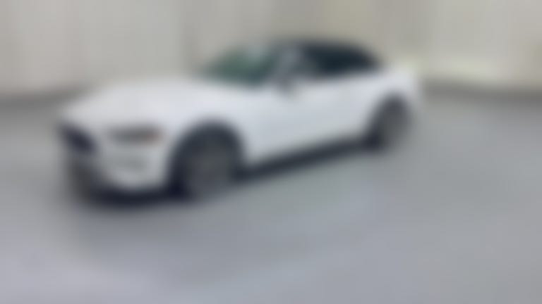 2019 Ford Mustang vehicle photo