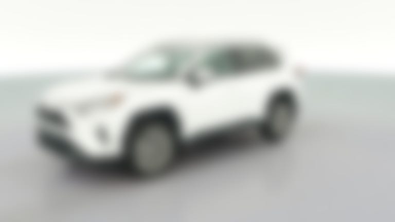 2019 Toyota RAV4 vehicle photo