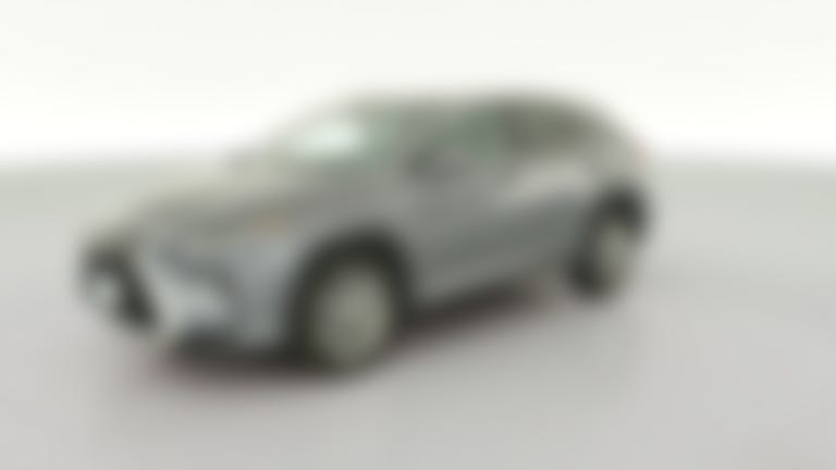 2019 Lexus RX vehicle photo