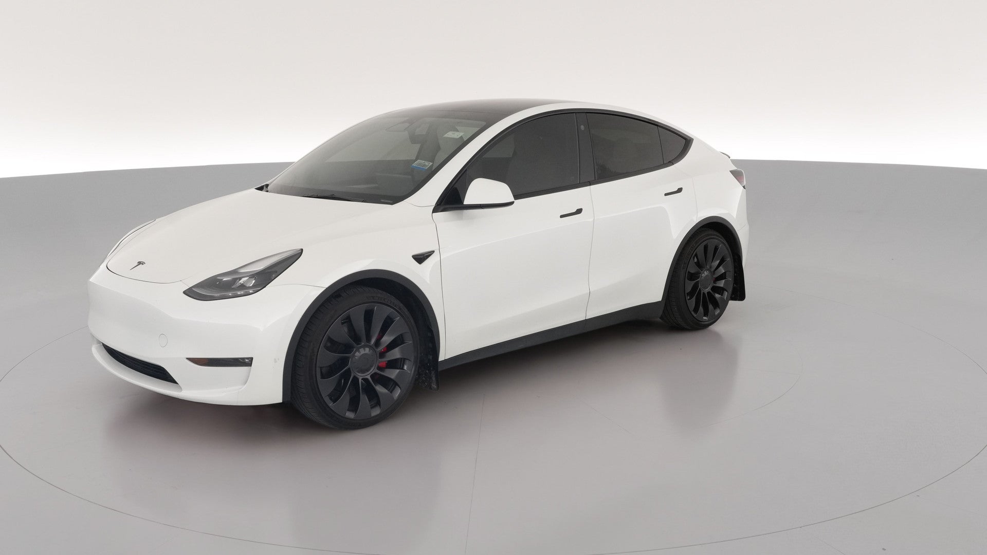 2023 Tesla Model Y vehicle photo