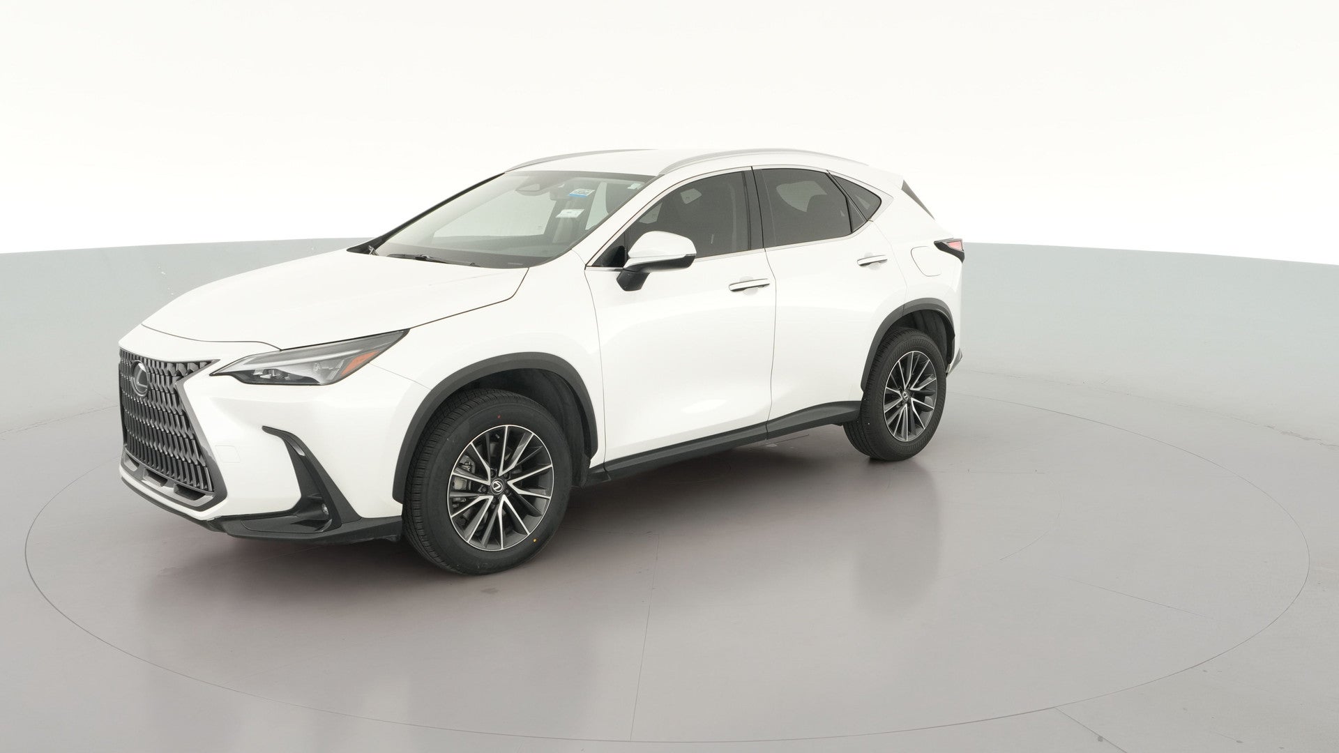 2024 Lexus NX vehicle photo