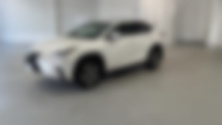 2019 Lexus NX vehicle photo