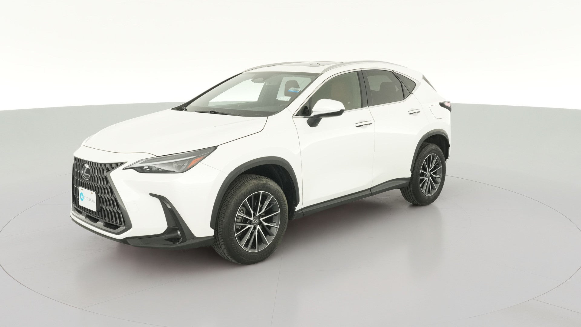 2024 Lexus NX vehicle photo