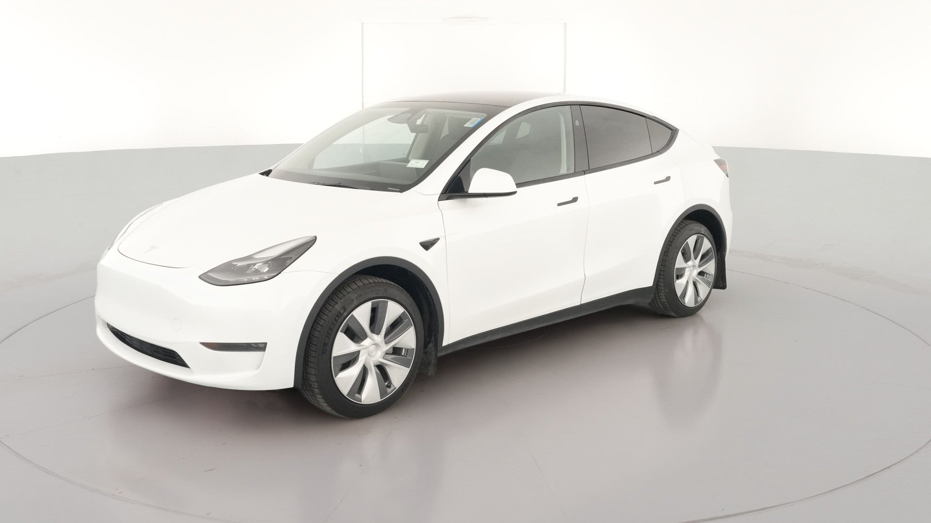 2023 Tesla Model Y vehicle photo