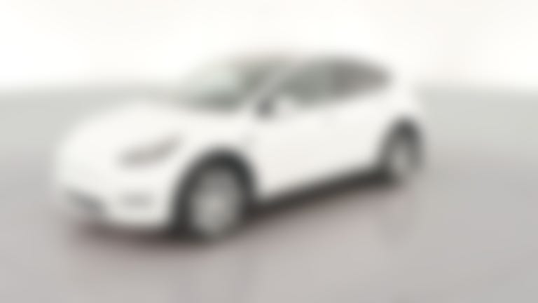 2023 Tesla Model Y vehicle photo