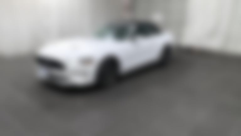 2023 Ford Mustang vehicle photo