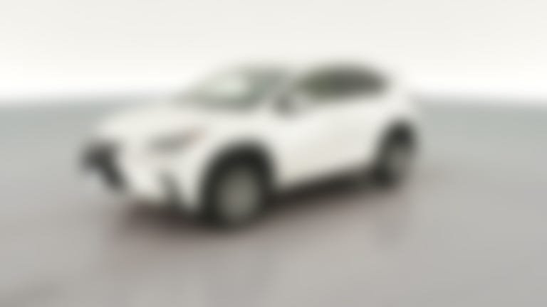 2019 Lexus NX vehicle photo