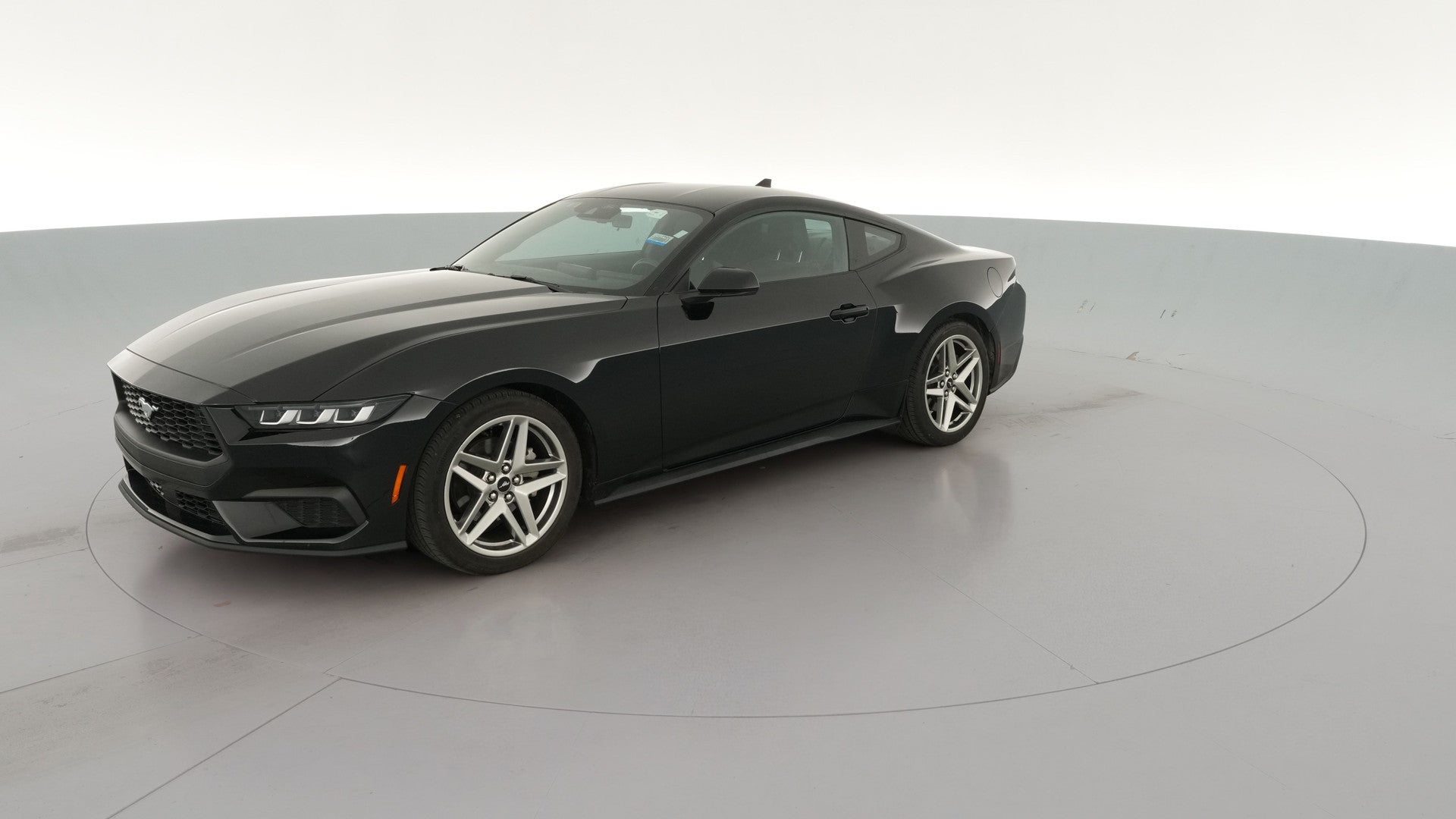 2024 Ford Mustang vehicle photo