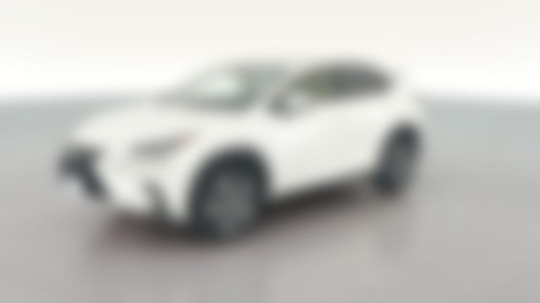 2019 Lexus NX vehicle photo