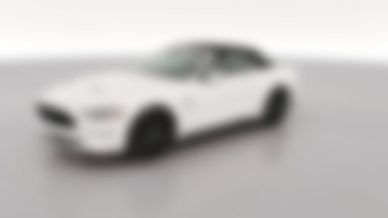 2019 Ford Mustang vehicle photo