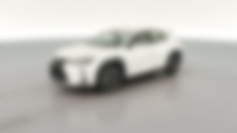 2020 Lexus UX vehicle photo