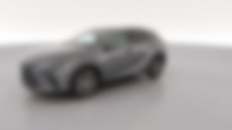 2023 Lexus RX vehicle photo